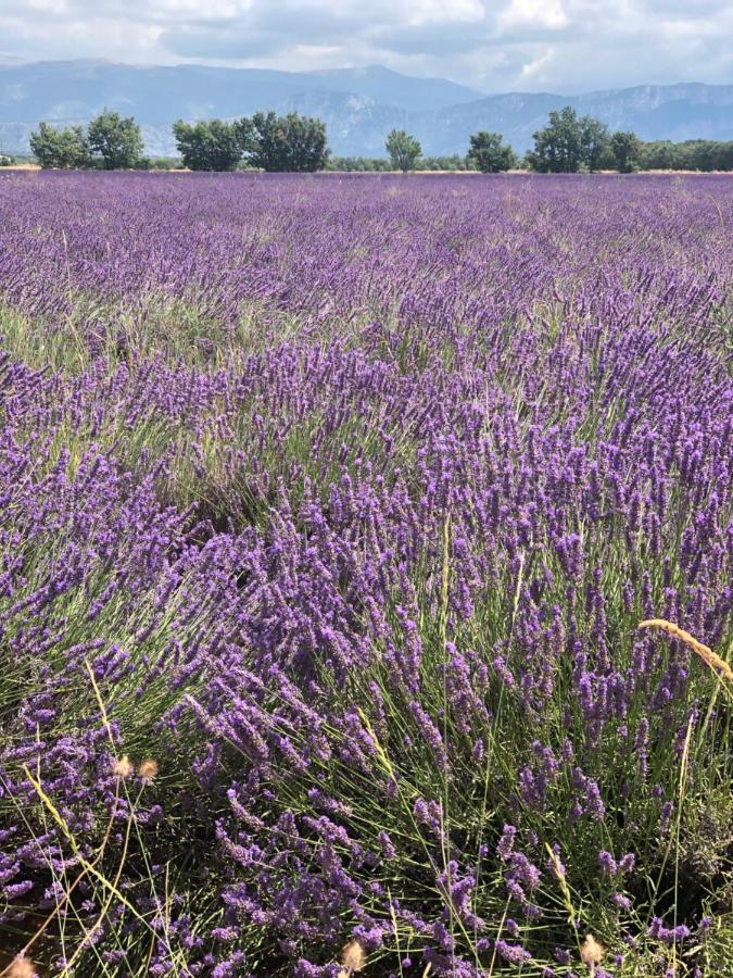 Maison De Village En Provence Baudinard Εξωτερικό φωτογραφία